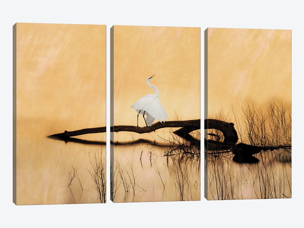 Great White Egret On Golden Pond by Laura D Young 3-piece Art Print