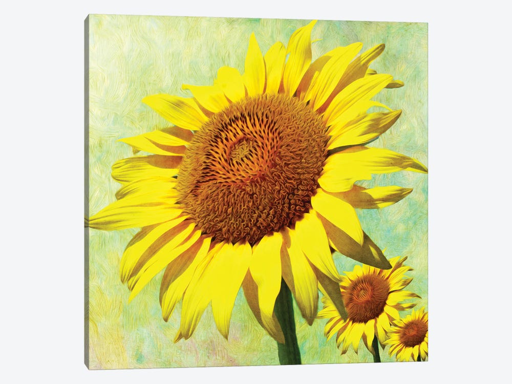 Happy Sunflower Day by Laura D Young 1-piece Canvas Artwork