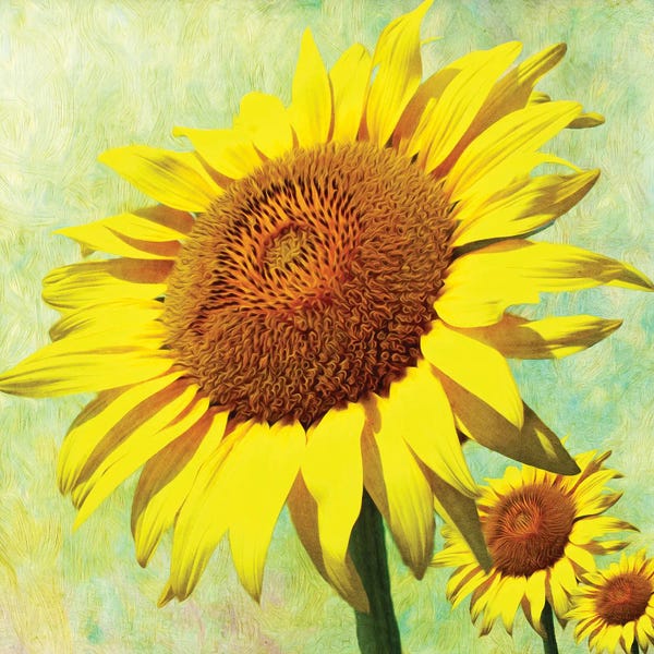 Mesmerizing Digital Artists: Happy Sunflower Day by Laura D Young