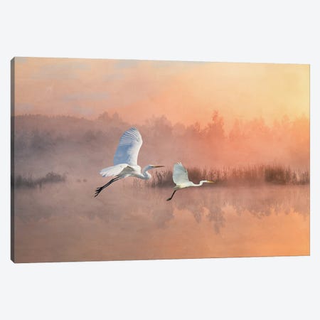 Herons Fly Into The Sunset Canvas Print #LDY37} by Laura D Young Canvas Wall Art