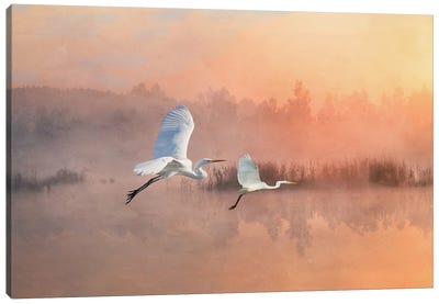 Herons Fly Into The Sunset Canvas Art Print - Heron Art