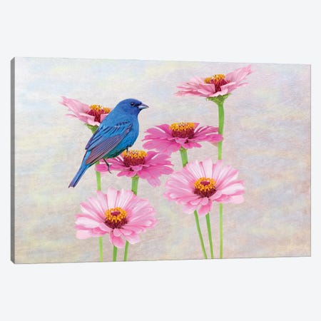 Indigo Bunting In The Zinnia Patch Canvas Print #LDY46} by Laura D Young Art Print