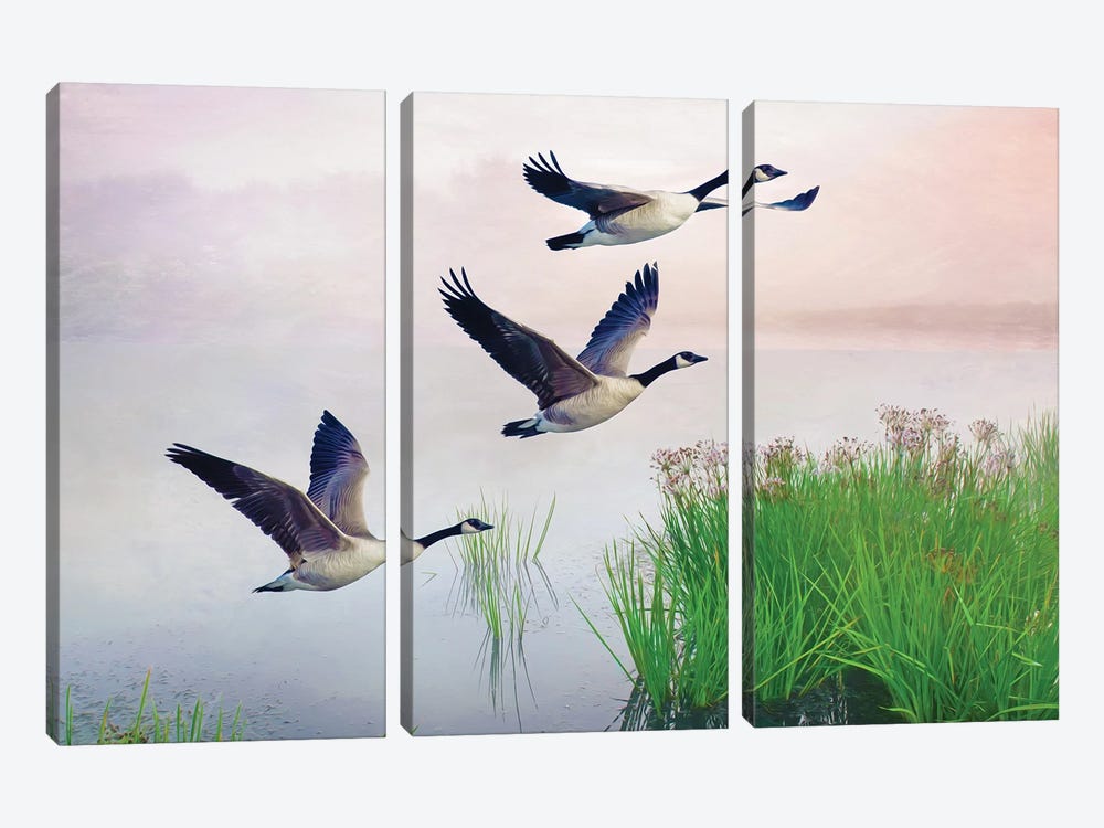Canada Geese On Misty Pond by Laura D Young 3-piece Canvas Art