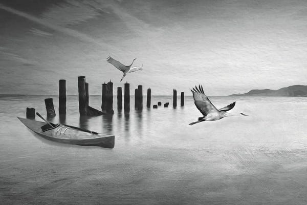 Canoes: Kayak And Sandhill Cranes by Laura D Young