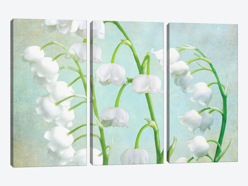 Lily Of The Valley by Laura D Young 3-piece Art Print