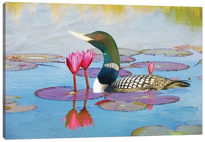 Yellow Billed Loon And Water Lilies Canvas Art Print - Laura D Young