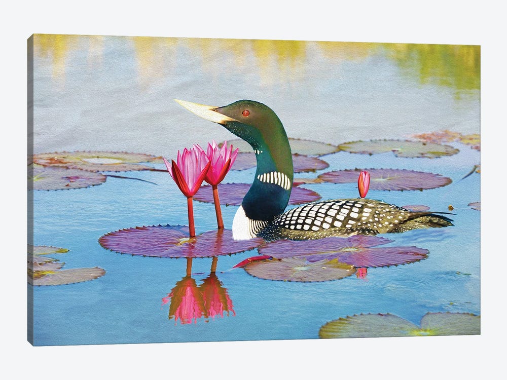 Yellow Billed Loon And Water Lilies by Laura D Young 1-piece Canvas Art Print