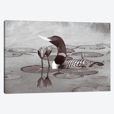 Yellow Billed Loon And Water Lilies Bw Canvas Print #LDY54} by Laura D Young Canvas Wall Art