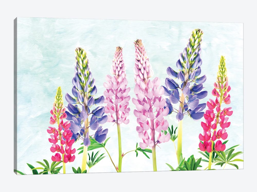 Lovely Lupine by Laura D Young 1-piece Canvas Art Print