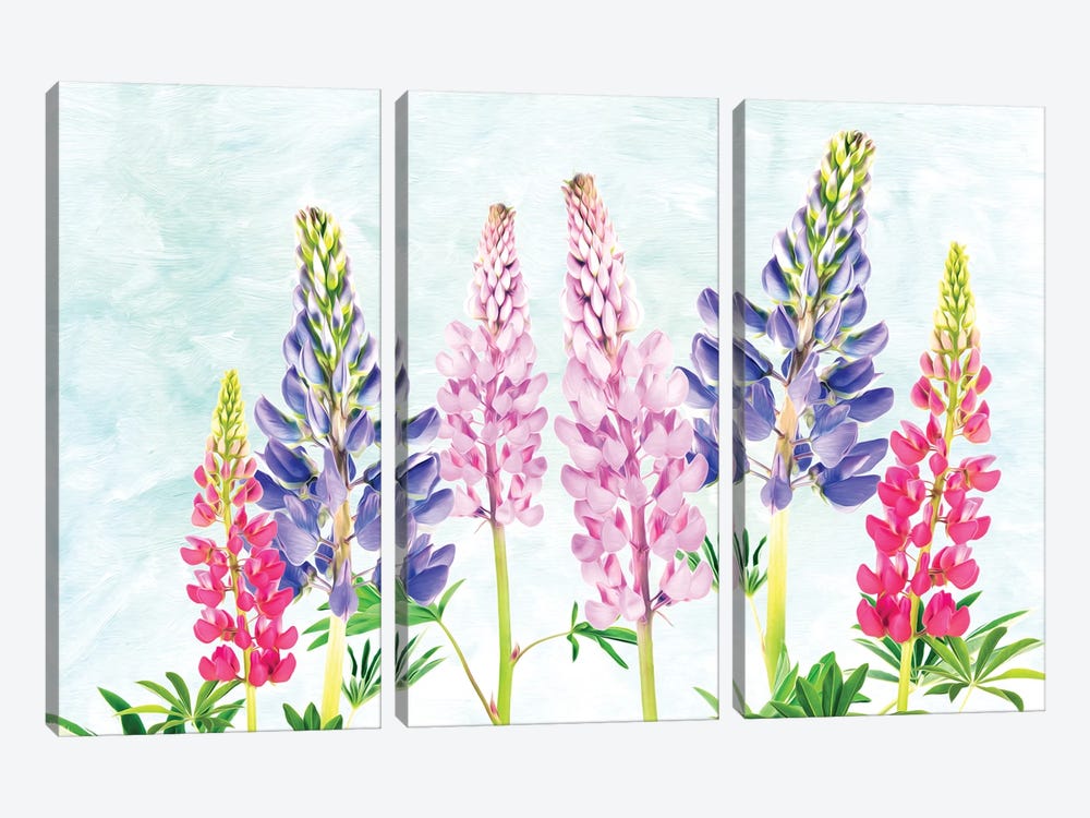 Lovely Lupine by Laura D Young 3-piece Canvas Art Print