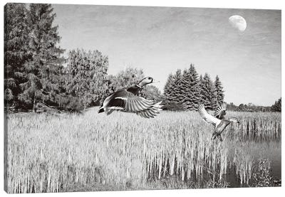 Mallards And The Moon Bw Canvas Art Print - Goose Art