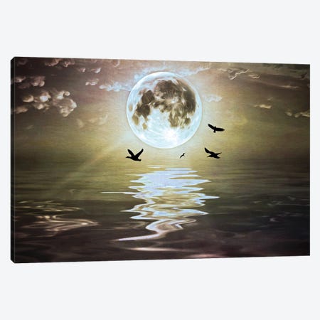Moonlight Over Water Canvas Print #LDY59} by Laura D Young Canvas Art Print