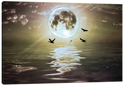 Moonlight Over Water Canvas Art Print - Laura D Young