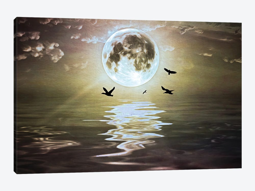 Moonlight Over Water by Laura D Young 1-piece Canvas Art Print