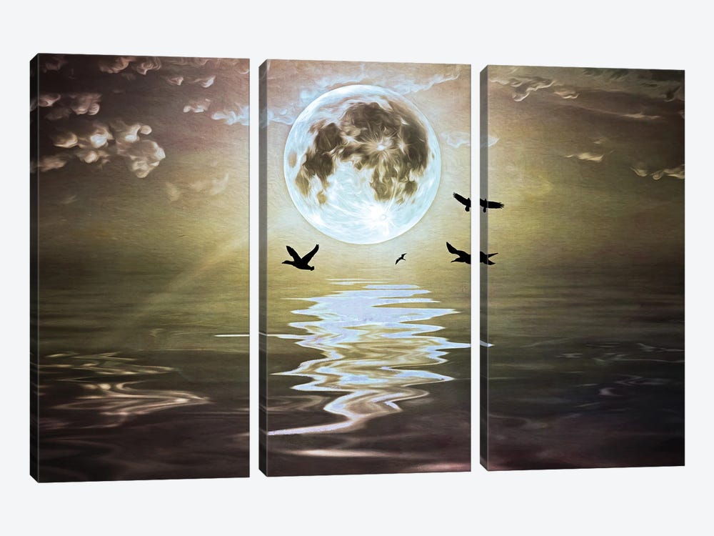 Moonlight Over Water by Laura D Young 3-piece Canvas Print
