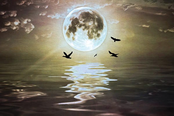 Laura D Young: Moonlight Over Water by Laura D Young