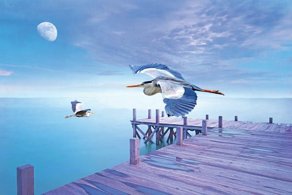 Docks & Piers: Grey Herons And Morning Moon by Laura D Young