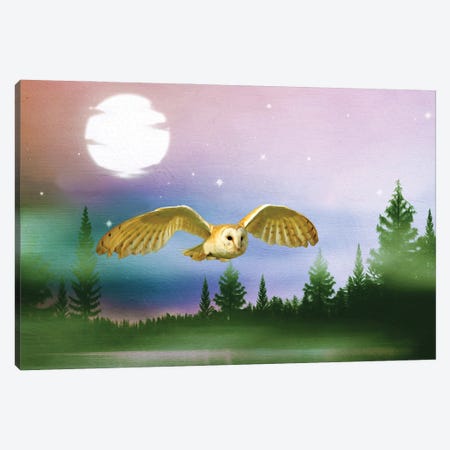 Barn Owl In Flight At Night Canvas Print #LDY62} by Laura D Young Canvas Art