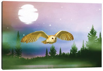 Barn Owl In Flight At Night Canvas Art Print - Laura D Young