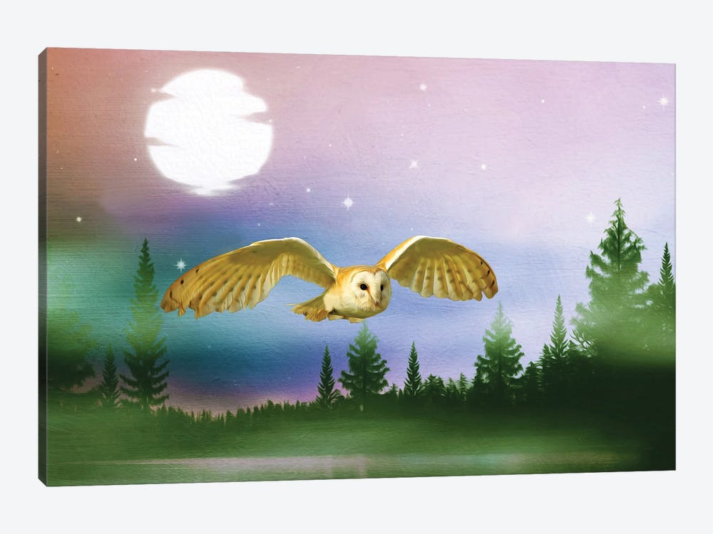 Barn Owl In Flight At Night by Laura D Young 1-piece Art Print