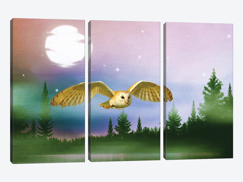 Barn Owl In Flight At Night by Laura D Young 3-piece Canvas Print