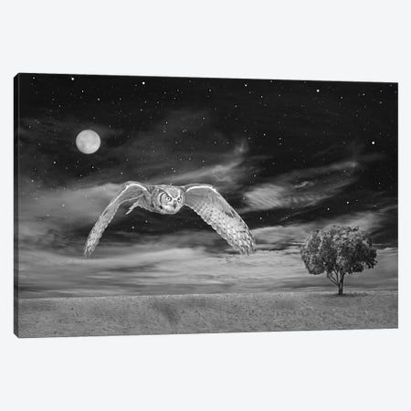 Great Horned Owl At Night Bw Canvas Print #LDY63} by Laura D Young Canvas Artwork