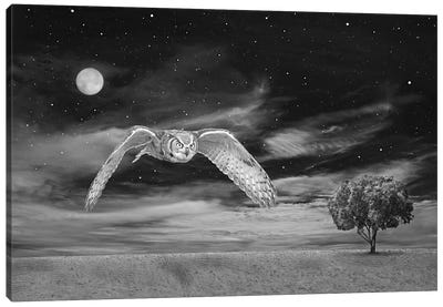 Great Horned Owl At Night Bw Canvas Art Print - Laura D Young