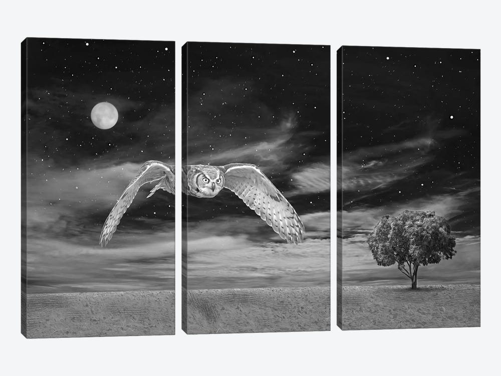 Great Horned Owl At Night Bw by Laura D Young 3-piece Canvas Art