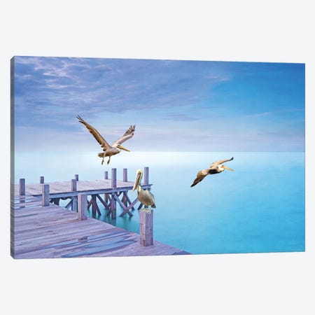 Brown Pelican Party Canvas Print #LDY69} by Laura D Young Canvas Art