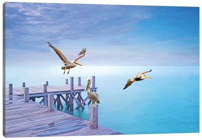 Brown Pelican Party Canvas Art Print - Laura D Young