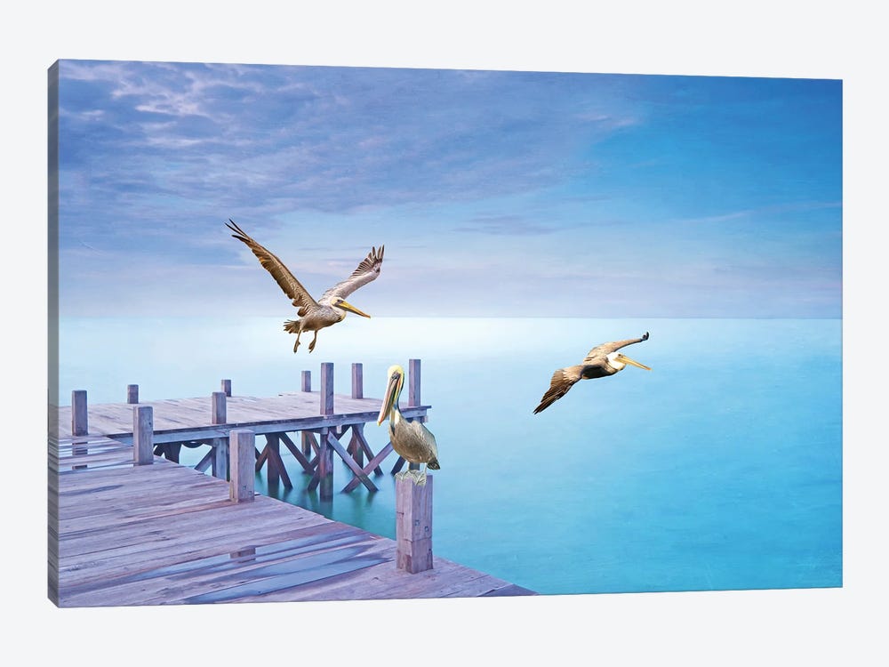 Brown Pelican Party by Laura D Young 1-piece Canvas Art