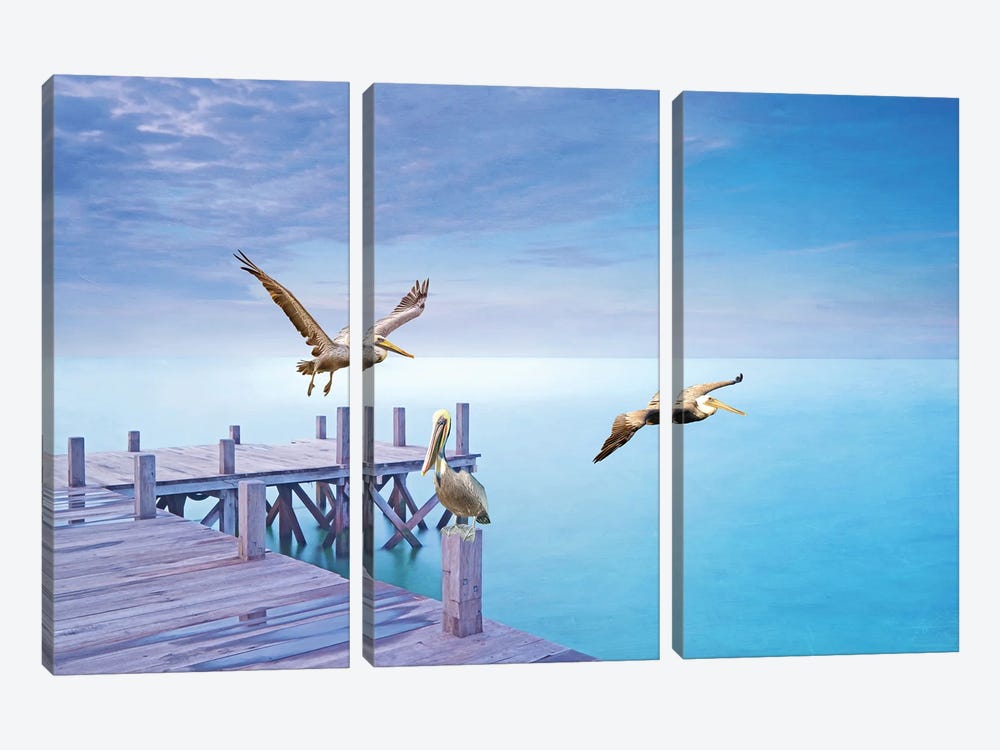 Brown Pelican Party by Laura D Young 3-piece Canvas Artwork