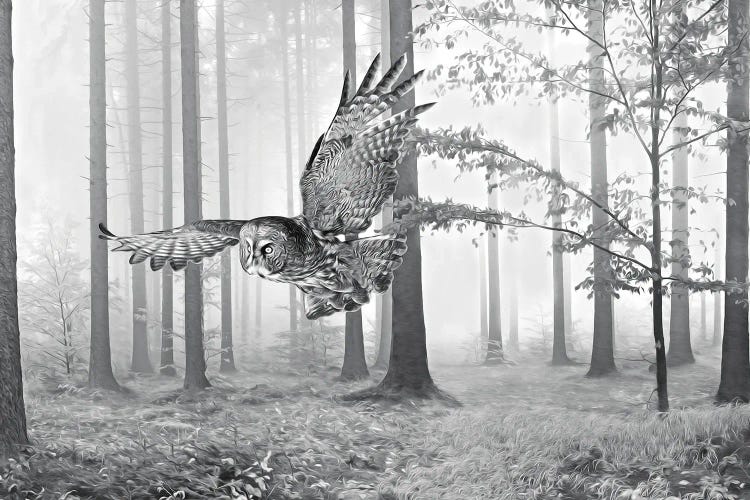 Great Gray Owl In Autumn Woods Bw