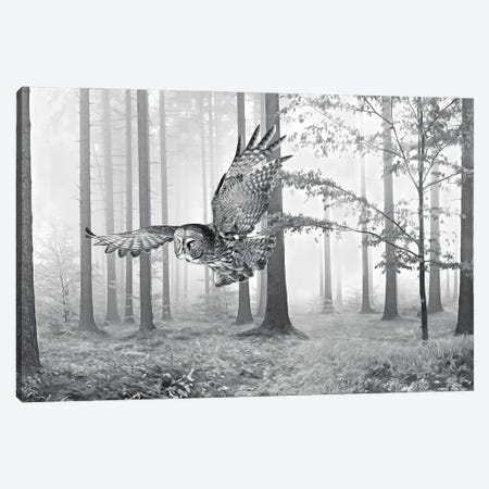 Great Gray Owl In Autumn Woods Bw Canvas Print #LDY6} by Laura D Young Canvas Wall Art