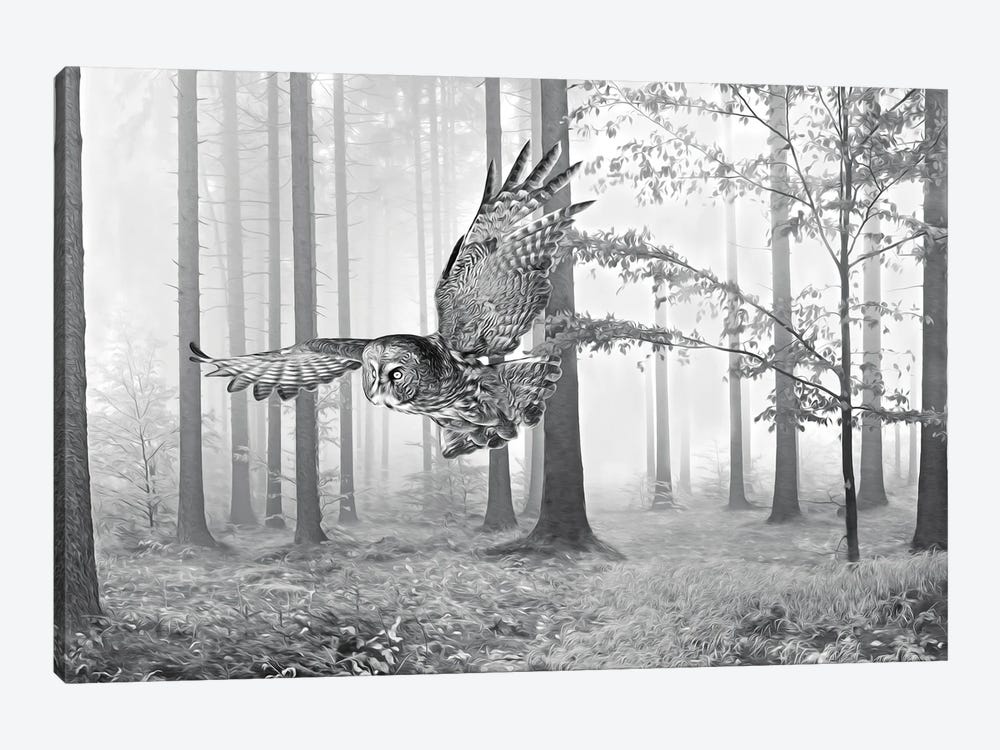 Great Gray Owl In Autumn Woods Bw by Laura D Young 1-piece Canvas Artwork