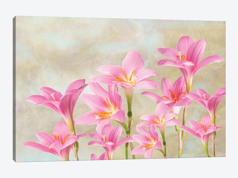 Pink Lilies In Spring by Laura D Young 1-piece Art Print