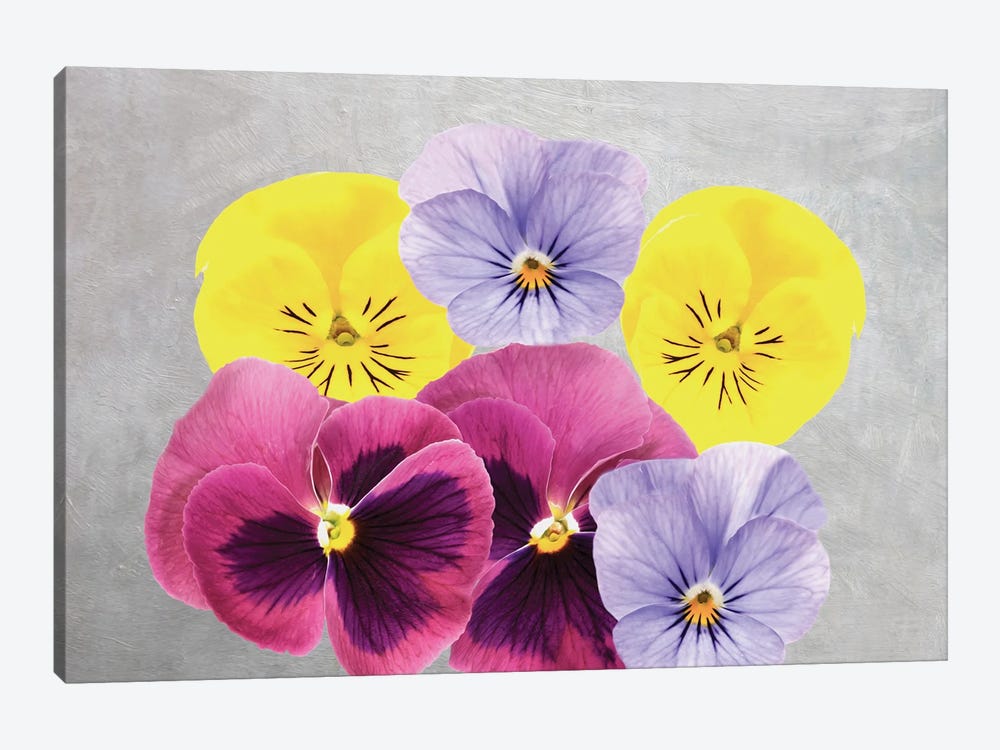 Pansy Flower Arrangement by Laura D Young 1-piece Canvas Artwork