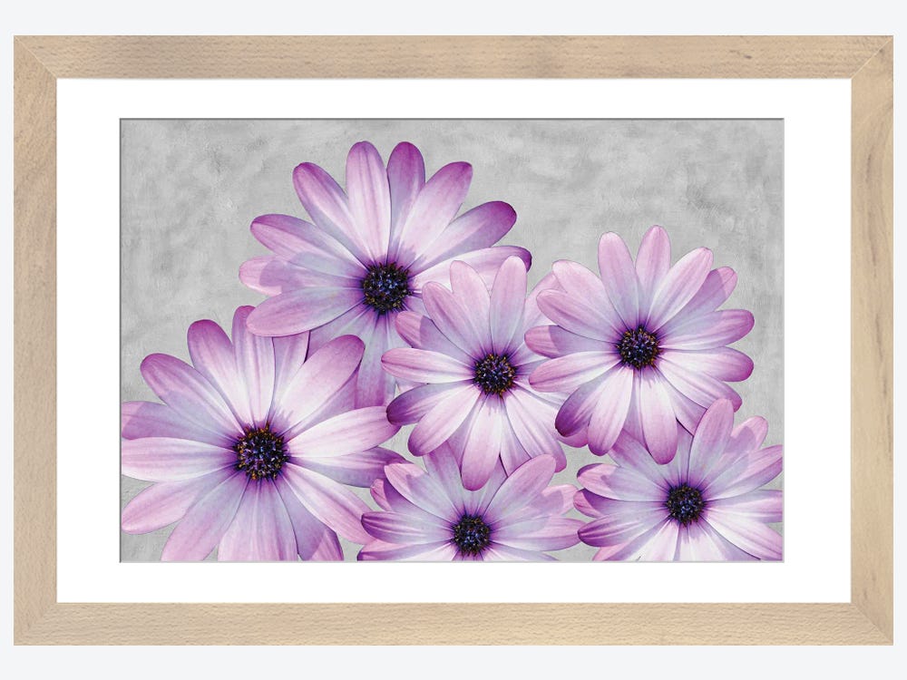 But Did You Die? - Wall Decor Art Print with a lilac background - 8x10  unframed artwork printed on photograph paper