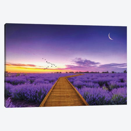 Path Through Purple Lavender Field Canvas Print #LDY77} by Laura D Young Canvas Wall Art