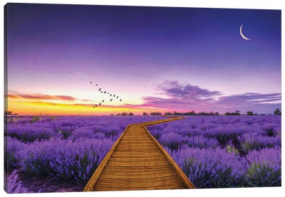 Path Through Purple Lavender Field Canvas Art Print - Sunset Shades