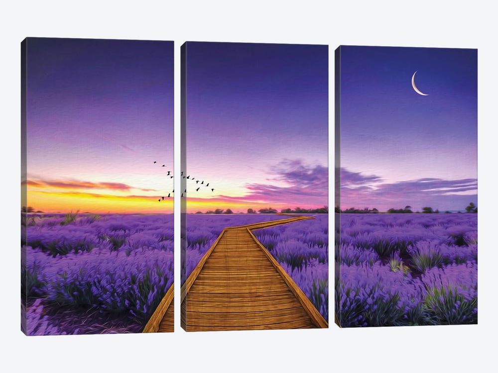 Path Through Purple Lavender Field by Laura D Young 3-piece Art Print