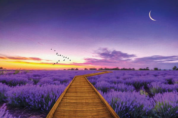Mesmerizing Digital Artists: Path Through Purple Lavender Field by Laura D Young