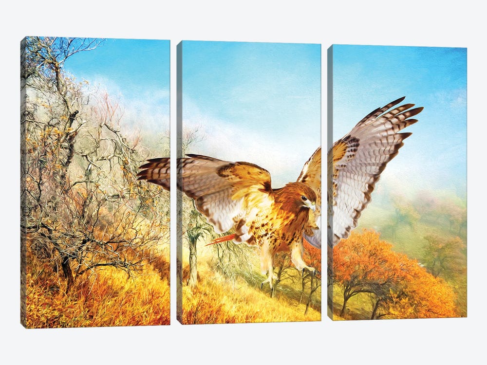 Red Tailed Hawk In Autumn Woods 3-piece Canvas Artwork