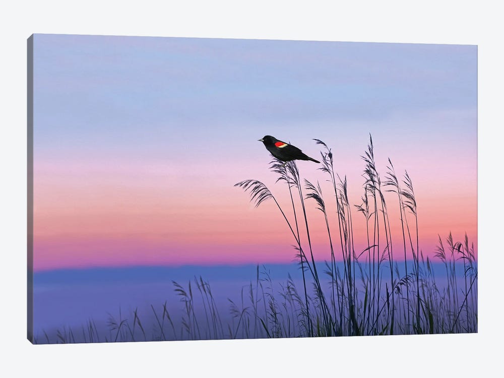 Red Winged Blackbird In Georgia Marshes by Laura D Young 1-piece Art Print