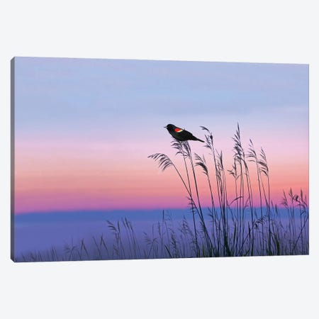 Red Winged Blackbird In Georgia Marshes Canvas Print #LDY82} by Laura D Young Canvas Wall Art