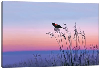 Red Winged Blackbird In Georgia Marshes Canvas Art Print - Marsh & Swamp Art