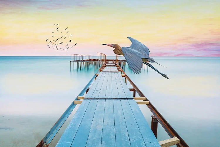 Reddish Egret At Old Ocean Dock by Laura D Young wall art