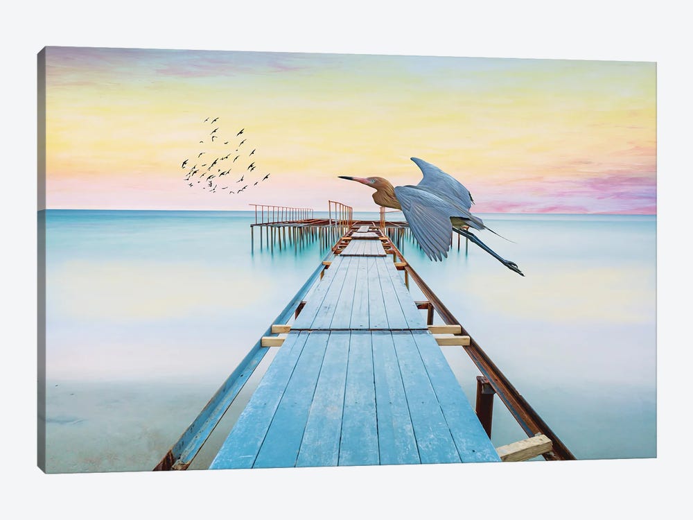 Reddish Egret At Old Ocean Dock by Laura D Young 1-piece Canvas Art