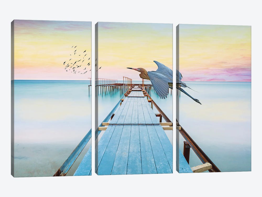 Reddish Egret At Old Ocean Dock by Laura D Young 3-piece Canvas Artwork