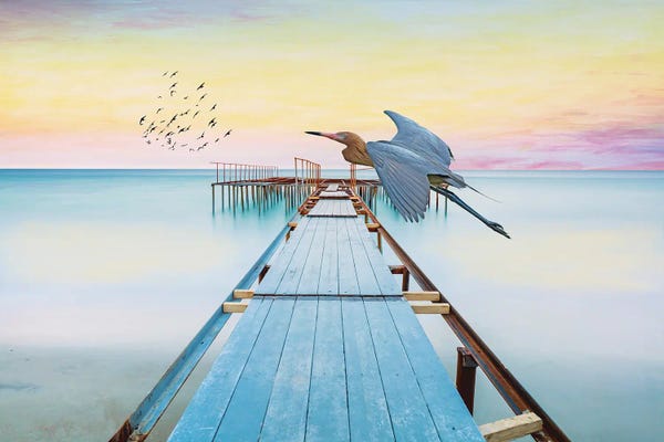 Laura D Young: Reddish Egret At Old Ocean Dock by Laura D Young